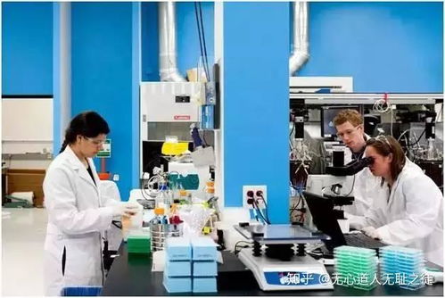 人造大腦與上帝之手 合成生物學(xué)引領(lǐng)的第三次生物科技革命